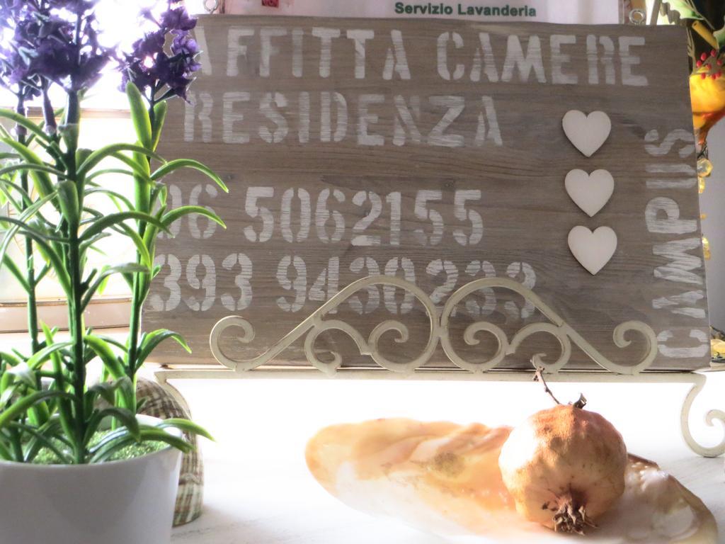 מלון Selcetta Residenza Campus Roma מראה חיצוני תמונה